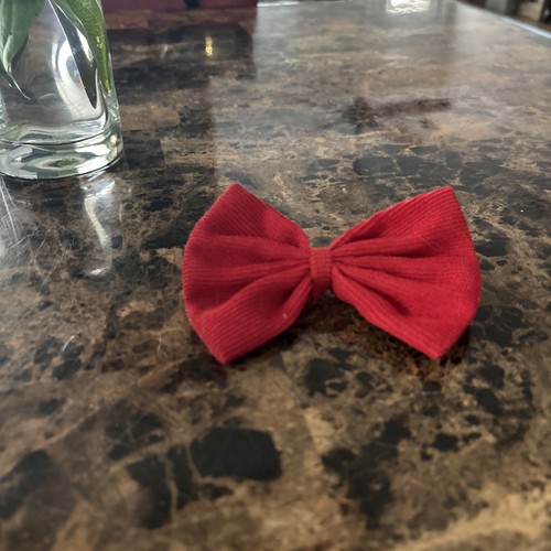 Red Dog Hair Bow / Pet Grooming Bow Tie Accessory
