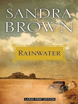 Rainwater (Basic) - Hardcover By Brown, Sandra - GOOD