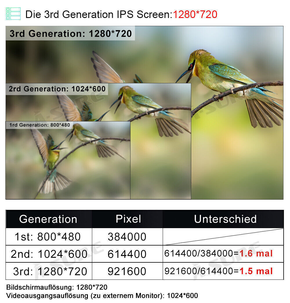 Bild 7 von 11