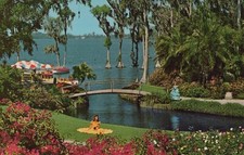 Ladys in Dresses Bridge Cypress Gardens Florida FL Trees Postcard 14359a