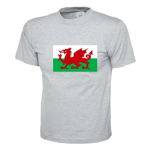 Wales Flag Red Dragon T-shirt All sizes for Adult & Children World Cup Football - Picture 13 of 14