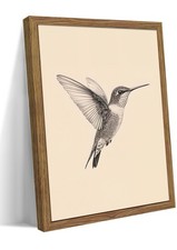 Vintage Framed Wall Art, Birds Canvas Prints, Hummingbird Sketch Painting Pic...