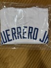 Autographed Vladimir Guerrero Jr. With Coa JSA Witness Protect — photo 2