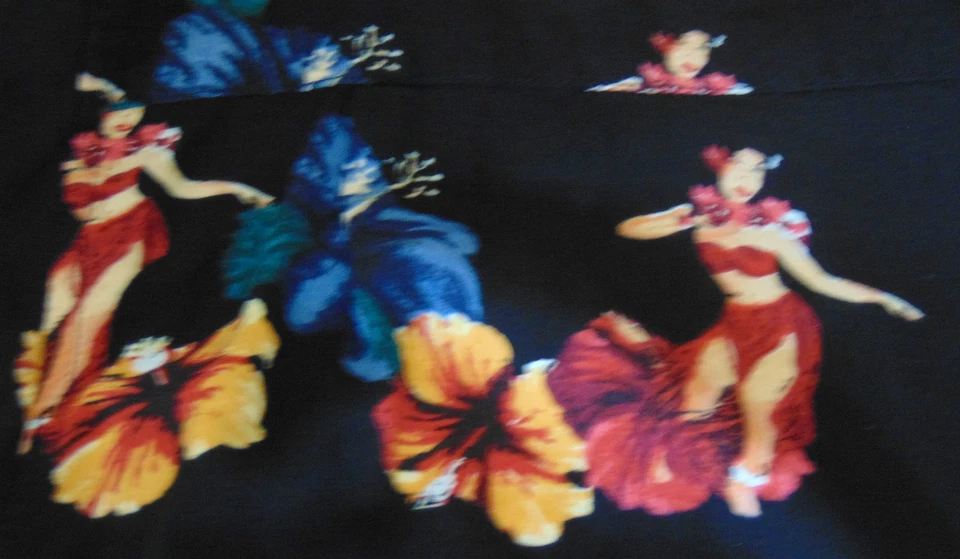 Camisa Hawaiana Grande Knightsbridge con Hibisco y Hula Niñas Foto 3 de 4