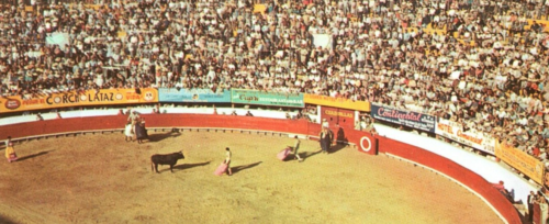 Vintage Bull Fighting Arena In Old Mexico Chrome Postcard | eBay