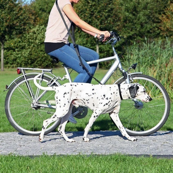 fahrradanhänger regenschutz Thule Regenschutz zu Fahrradanhänger Chariot Zweisitzer main image 0