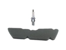 Luftfilter Schwamm + Zündkerze für Piaggio ZAP C34 C44 C15 C42 C50 C21 C45 TEC2T