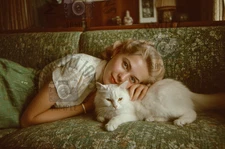 Vintage Photo of BEAUTIFUL  AMERICAN woman with CAT 1950's - portrait rare  381