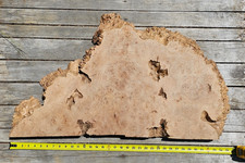 Live Edge Maple Burl Slab 18x32x2.5