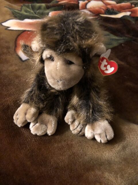 1998 Cha Cha Plush Stuffed Long Hair Chimp Monkey Beanie Baby Toy Ty ...