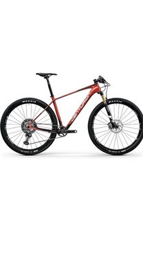 Centurion Backfire Carbon Team Edition