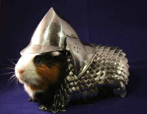 Hand-made Guinea Pig Scale-Mail and Helmet (Armor) - Bild 1 von 11