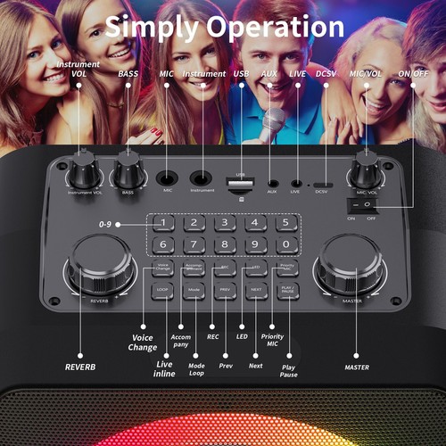 Karaoke Machine with 2 Microphones Party Bluetooth Speaker For Music Player Sing - Picture 13 of 18