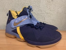 Nike Skills Academy Lebron XIV PE Promo Sampl...