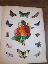 chromos découpis  fleurs et papillons