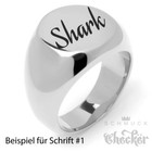 Bild 8 von 41