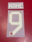 Official Kane Flocking No.9 Bayern 25/26 Third Third Pro Seller