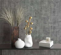 Vliestapete Beton Optik Used-Look Industrial Modern Dunkelgrau 81614 (4,08€/1Qm)