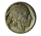 1919D Buffalo Nickel Restored Date