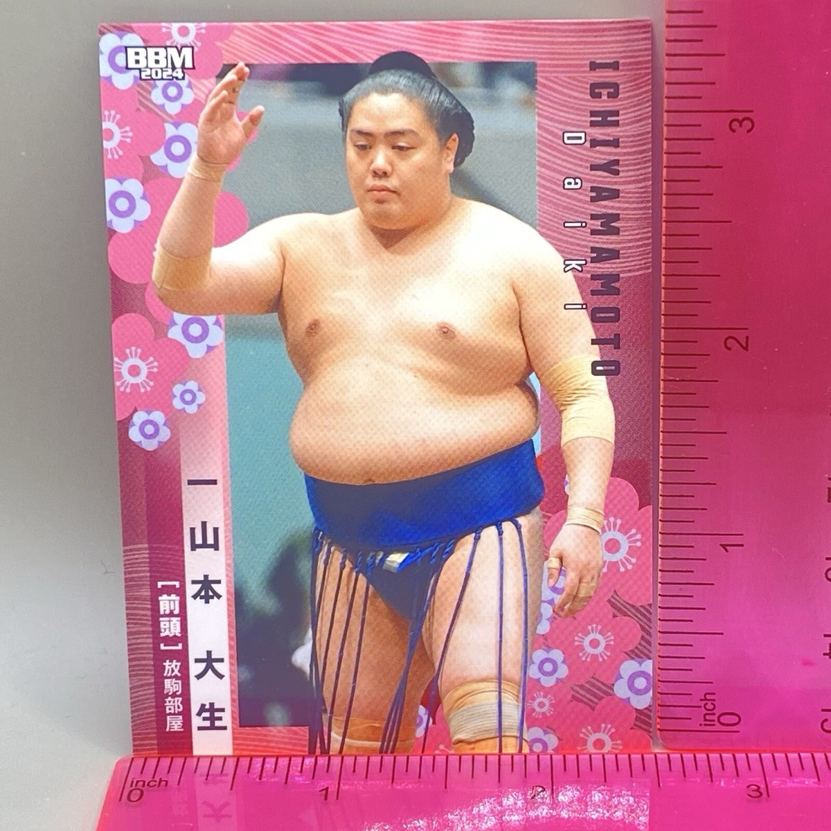 BBM Sumo Wrestling Card Daiki Ichiyamamoto 2024 Japan