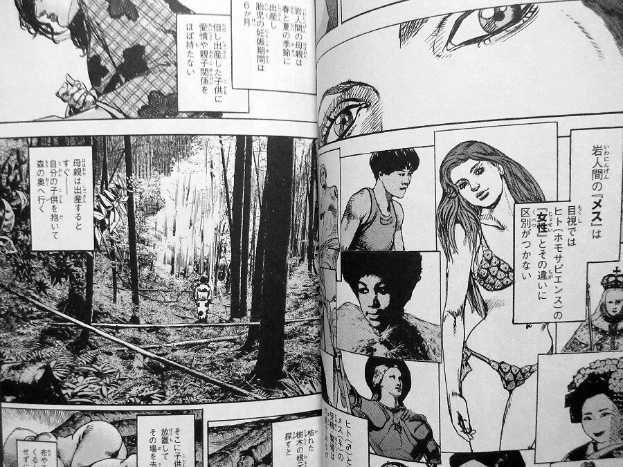 JoJolion - Volume 25 - JoJo's Bizarre Encyclopedia