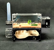 Ant tank/Ant farm - Stand Nest H02 - Full Option - New Version