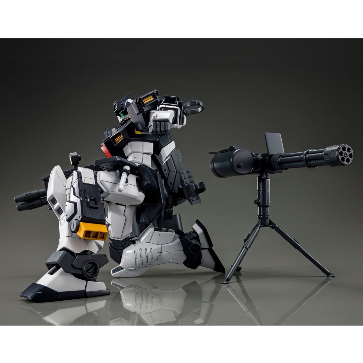 Premium Bandai MG 1/100 RGM-79DO GM DOMINANCE PHILIP HUGHS'S