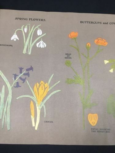 Artistic Handwork Paper & Cardboard Pt 1 Paper Cutting Book Rowland 1930's (2876 - Picture 5 of 6