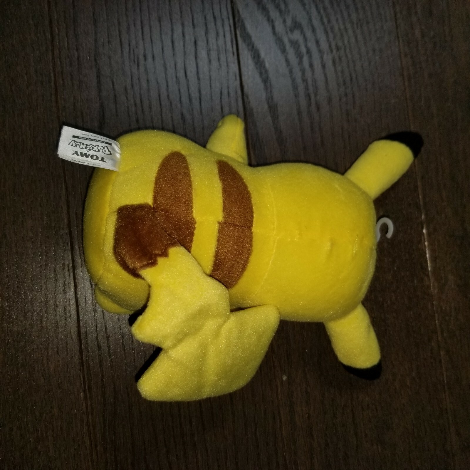 Foto 7 di 7