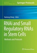 Rnai And Small Regulatory Rnas In Stem Cells: Methods And Protocols