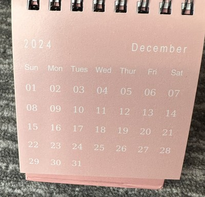 Mini Desk Calendar 2023-2024 July 2023 To December 2024 Pink Flip  Minimalist | eBay