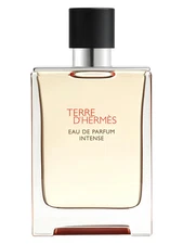 2025-TERRE D'HERMES INTENSE-HERMES-EDP-SPRAY-3.3 OZ-100 ML-AUTHENTIC-TST-FRANCE