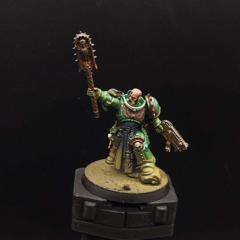Pro Painted Warhammer 40k primaris Chaplain Alpha legion gw indomitus