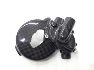WASSERPUMPE SCHUTZ GEHÄUSE LICHTMASCHINE CARBON DUCATI MONSTER S2R S4R S4R RS