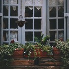 Bild 7 von 12