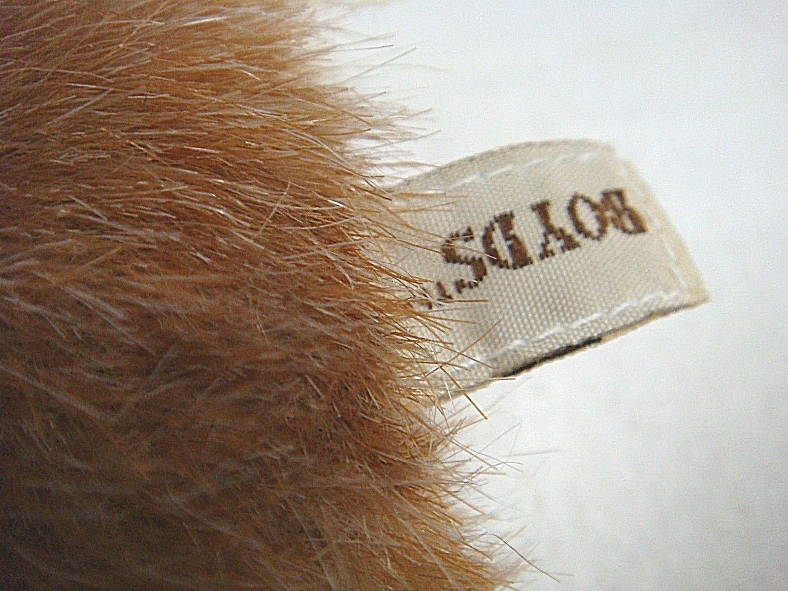Picture 10 of 11