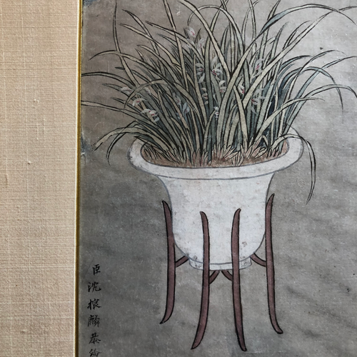 Shen Chen-lin — Ch'ing dynasty — aquarelle sur papier signée en bas à gauche - Picture 6 of 7