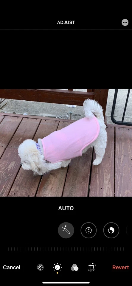 Dog Cozy Reversible Fleece Coat In Black With Pink Hearts Medium - Image 3 of 4