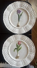Vintage Set Of 2 World Market Flower Plates. Tulip Plate, Spring Bulb Plate.