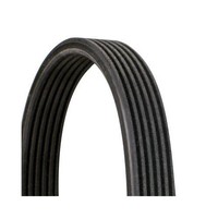 Keilrippenriemen Continental Ctam 6DPK1188 FüR Seat VW