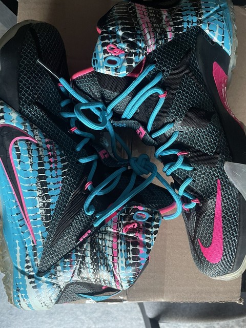 lebron 12 chromosomes for sale