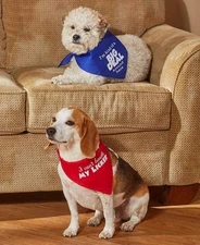 Sets of 2 FunDog Bandanas®