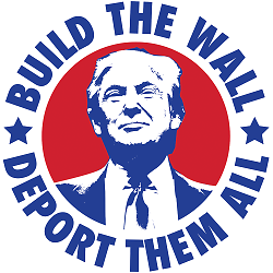 ALTRA T Shirt dalla S alla 2XL 3XL COSTRUISCI il MURO TRUMP Umorismo Divertimento Politico Adulto