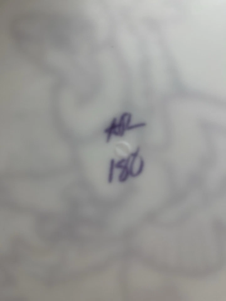 INNOVA DISC GOLF 2014 White XXL BIG BIG BIRD ROC3 100 Made 180g Extremely Rare!! - Image 3 of 4