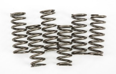 EBC Redline Clutch Springs CSK221
