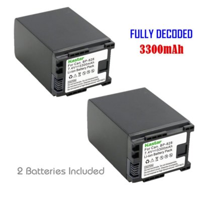BP-828 Battery & Dual Charger for Canon VIXIA HF S20, HF S21, HF S30, HF S100