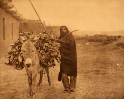 Edward Curtis - Load of Fuel Donkey Zuni Indian 1903 - 17'' x 22'' Fine Art Print