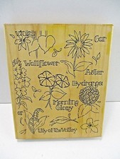 Flower Medley Background Rubber Stamp V148 JRL Designs Large Stamp