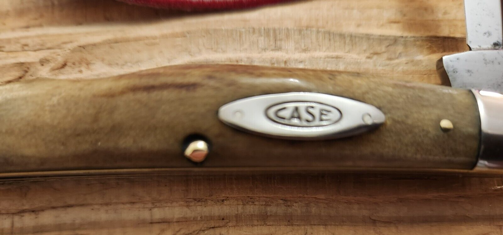 SCARCE VINTAGE CASE XX 194064 LARGE STAG CONGRESS KNIFE 5488 CASE