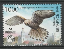 Belarus 2010 Birds, Falcon MNH stamp